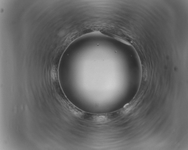 X0000068900287200605081353