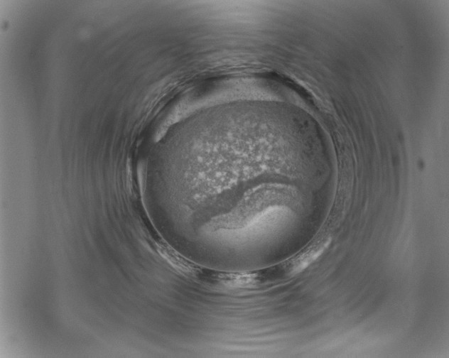 X0000068900288200605081353