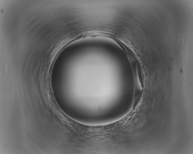 X0000068900289200605081352