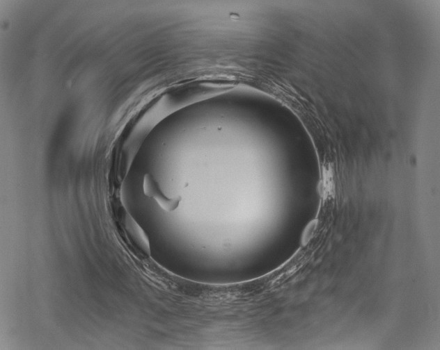 X0000068900291200605081352