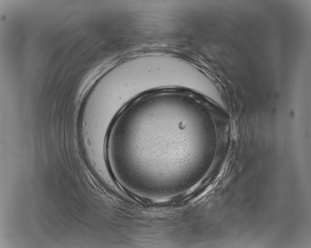 X0000068900293200605081352