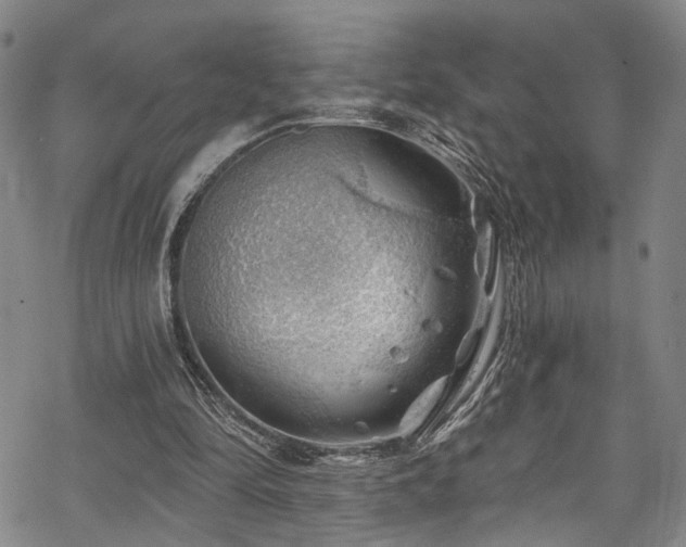 X0000068900294200605081352