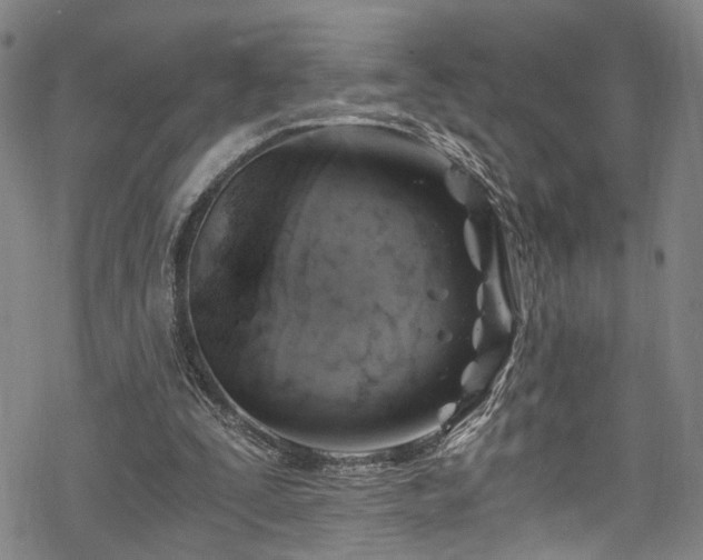 X0000068900295200605081352