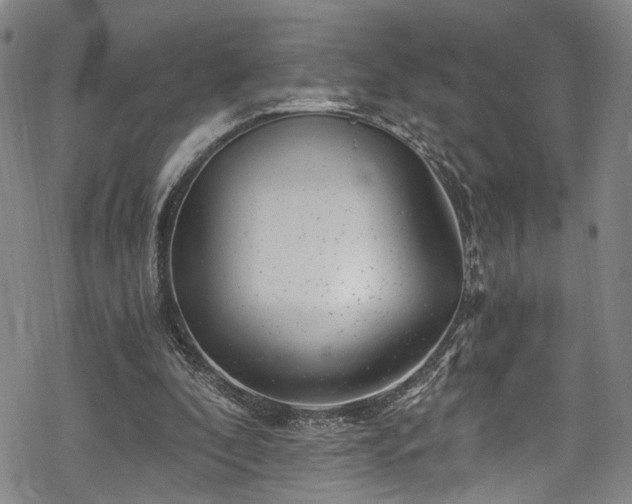 X0000068900296200605081352