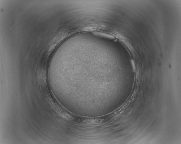 X0000068900297200605081352