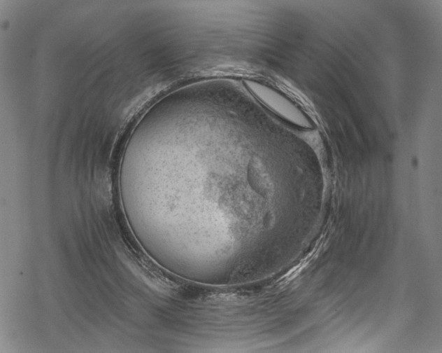 X0000068900298200605081352