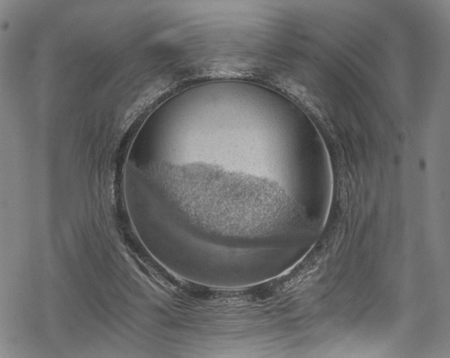 X0000068900299200605081352