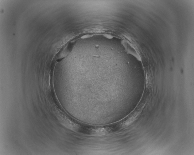 X0000068900301200605081352