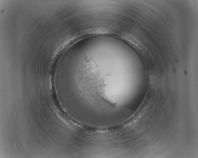 X0000068900302200605081352