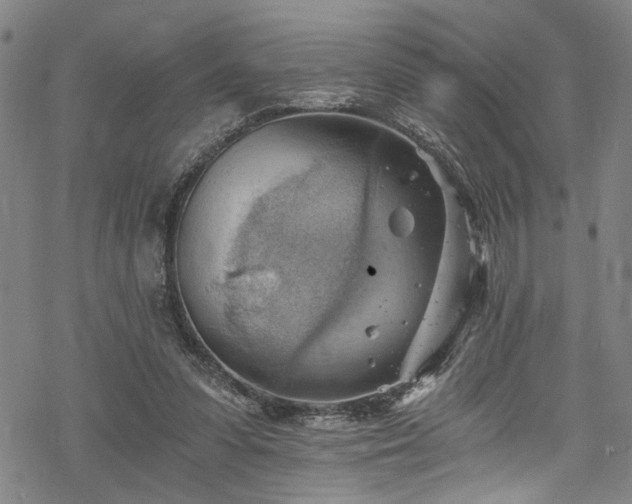 X0000068900303200605081352