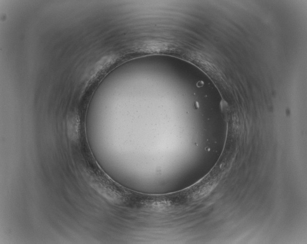 X0000068900304200605081352