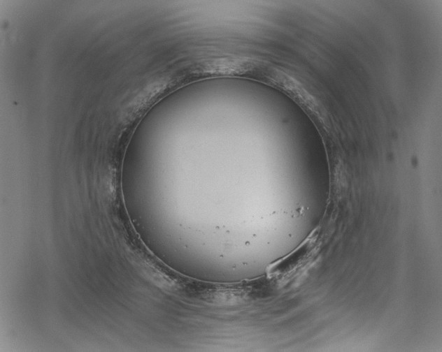 X0000068900305200605081352