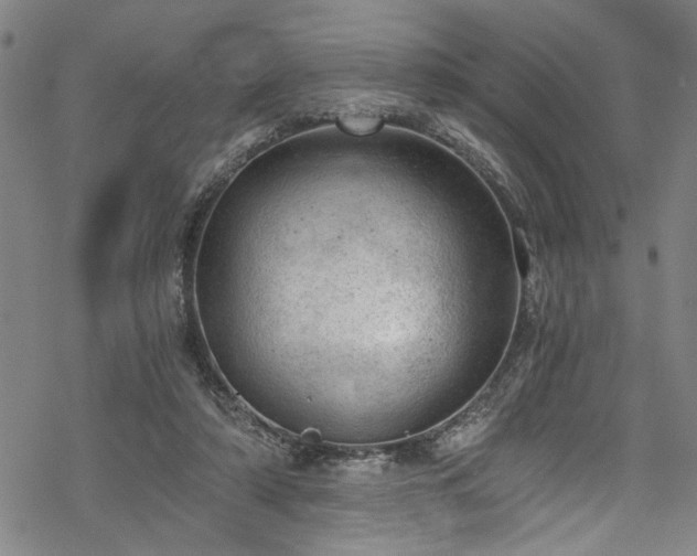 X0000068900306200605081352