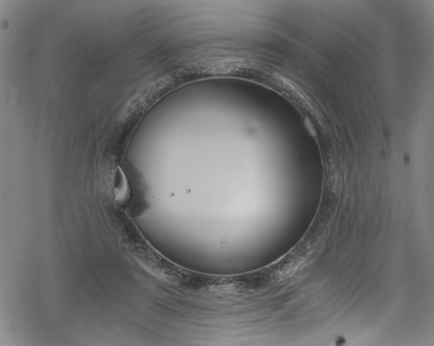 X0000068900307200605081352