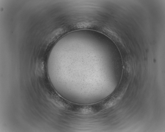 X0000068900308200605081352