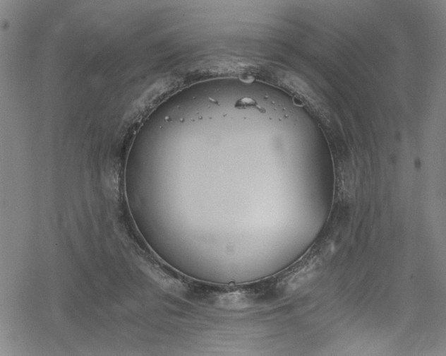 X0000068900309200605081352