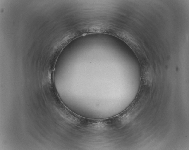 X0000068900310200605081352