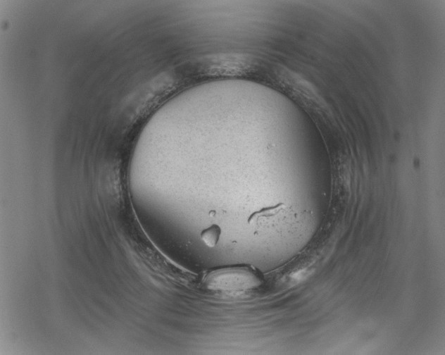 X0000068900312200605081352