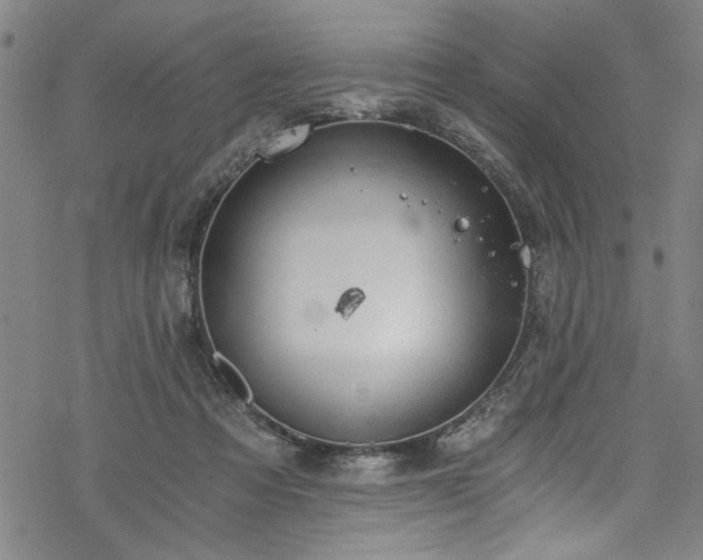 X0000068900313200605081352