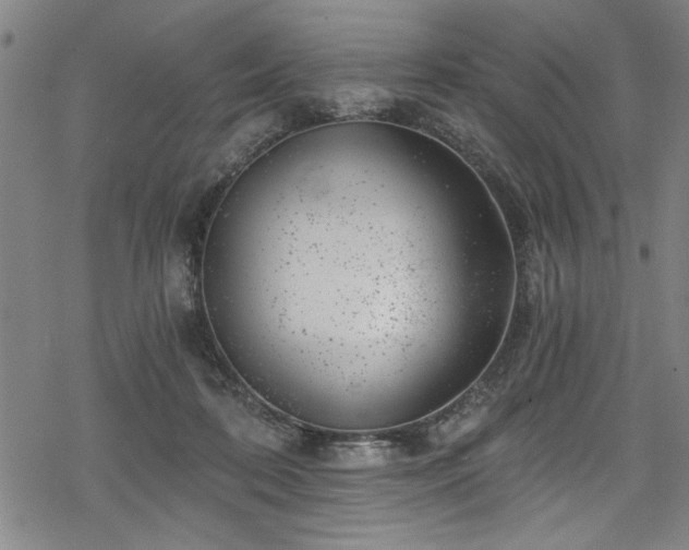 X0000068900316200605081352