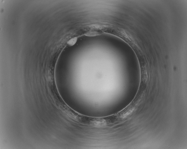 X0000068900317200605081352