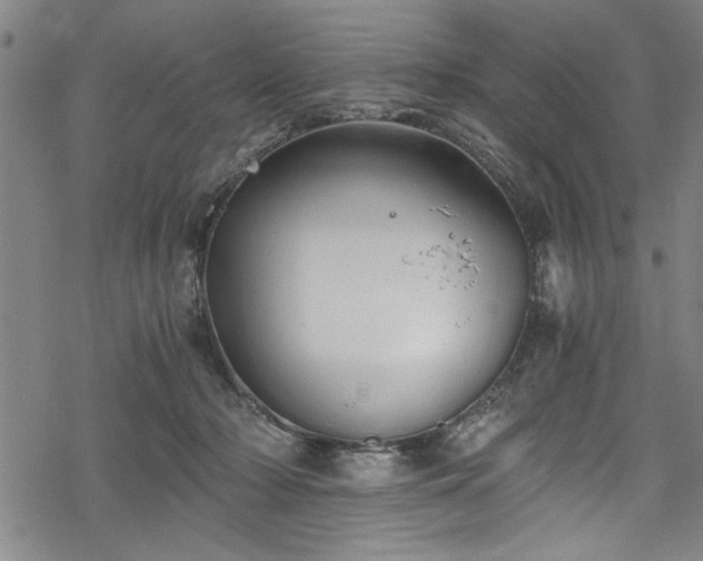 X0000068900318200605081352