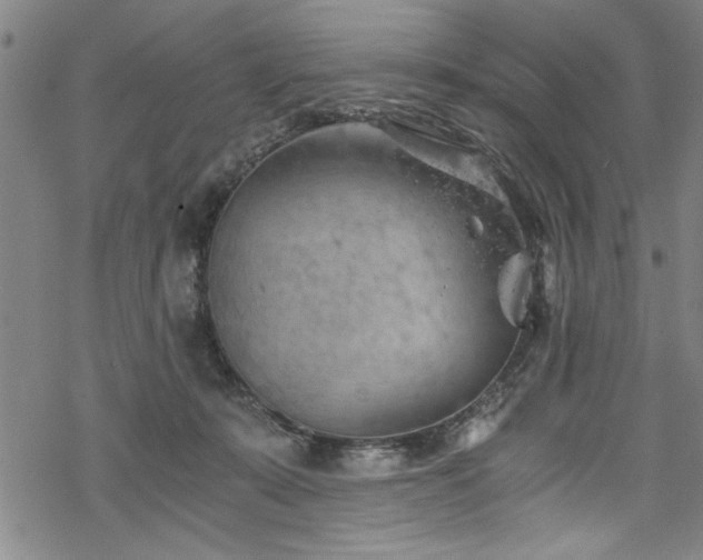 X0000068900319200605081352