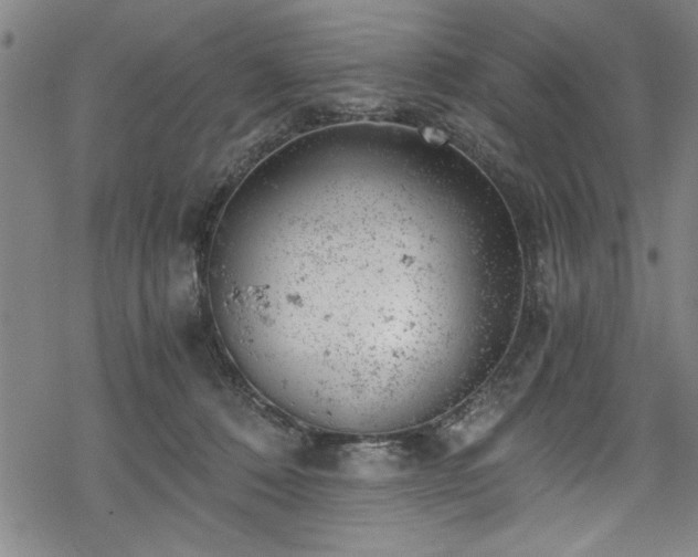 X0000068900320200605081352