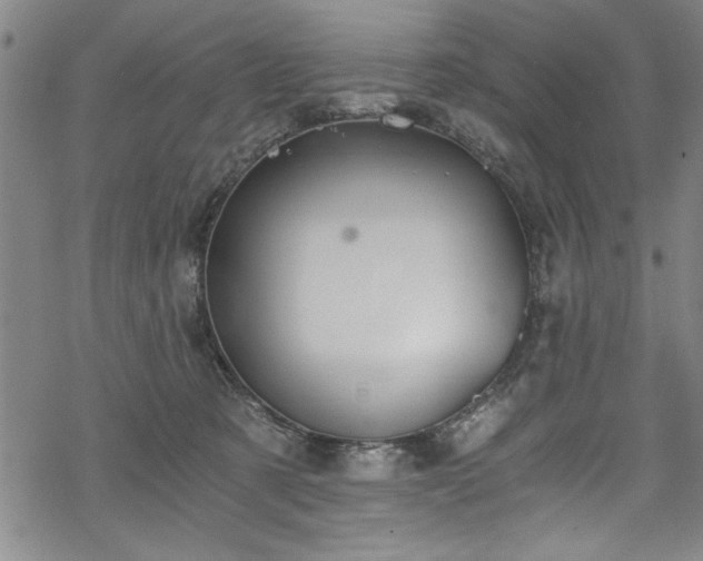 X0000068900321200605081352