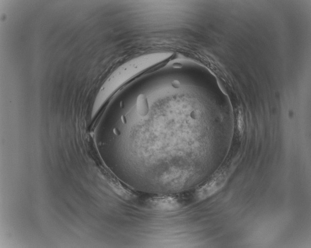 X0000068900322200605081352