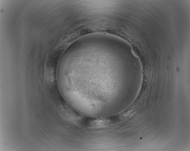 X0000068900323200605081352