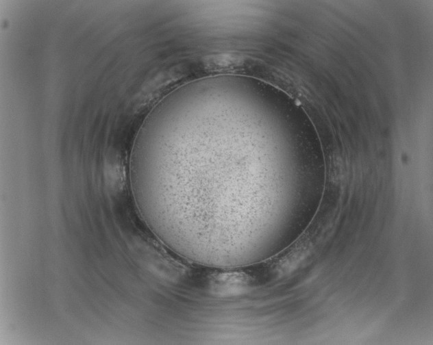 X0000068900324200605081352