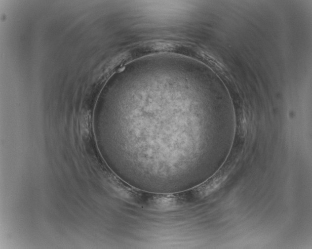 X0000068900325200605081352