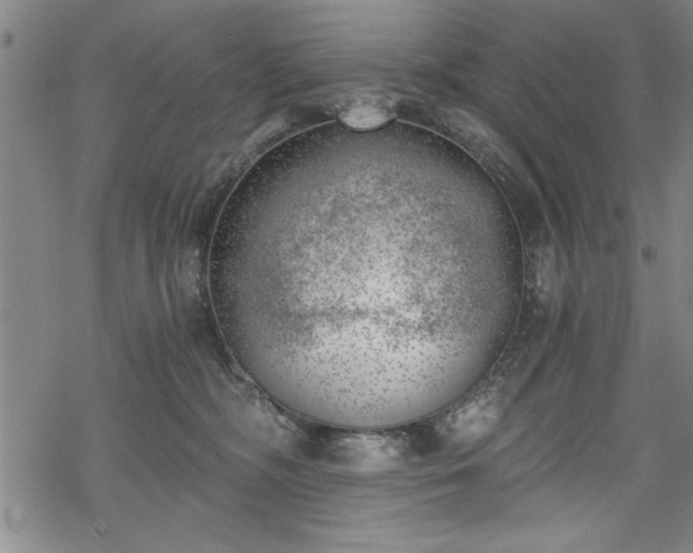 X0000068900326200605081352