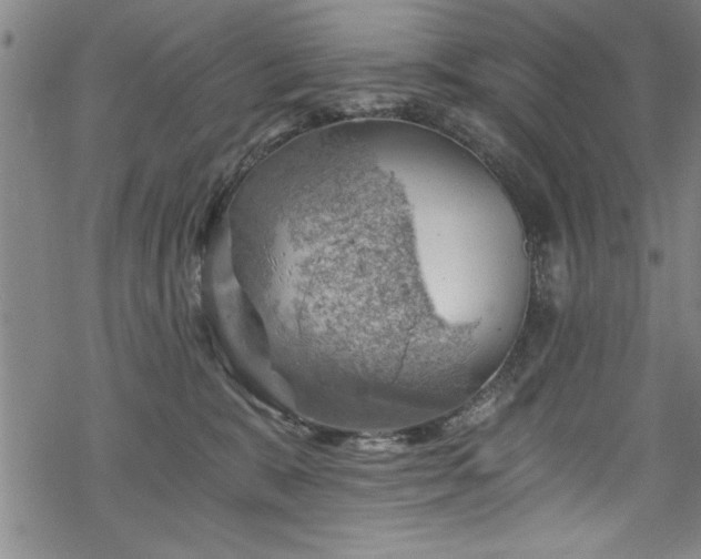 X0000068900327200605081352