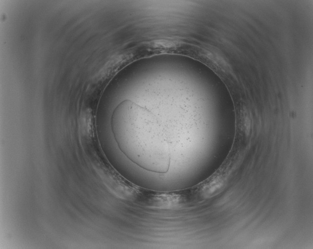 X0000068900328200605081352