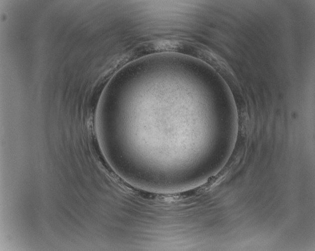 X0000068900329200605081352