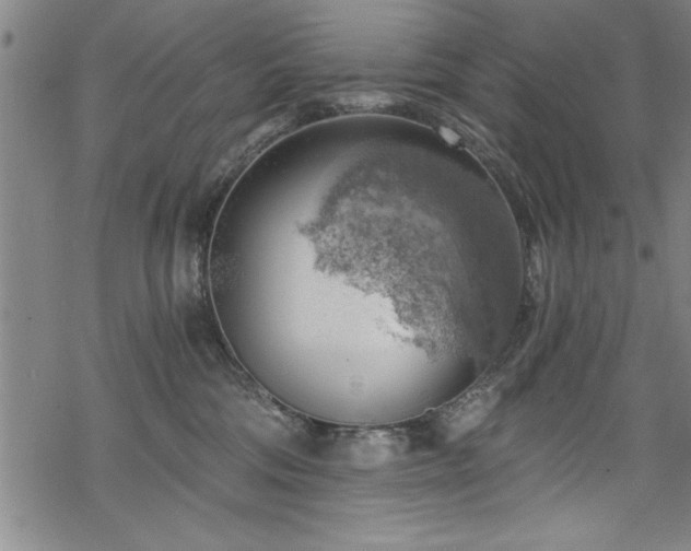 X0000068900330200605081352