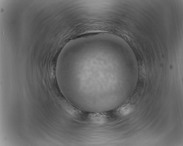 X0000068900331200605081352