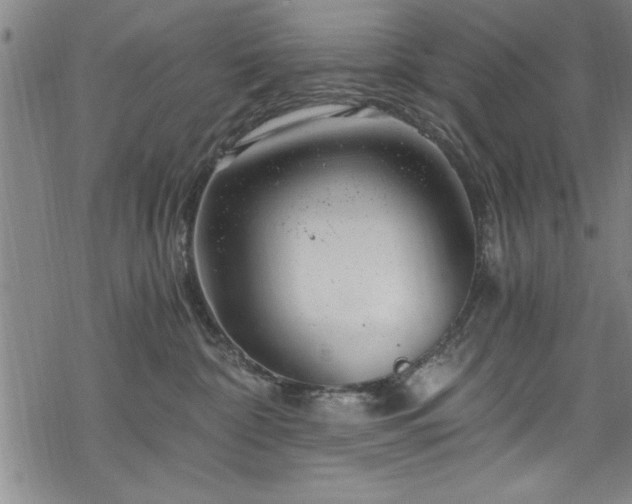 X0000068900332200605081352