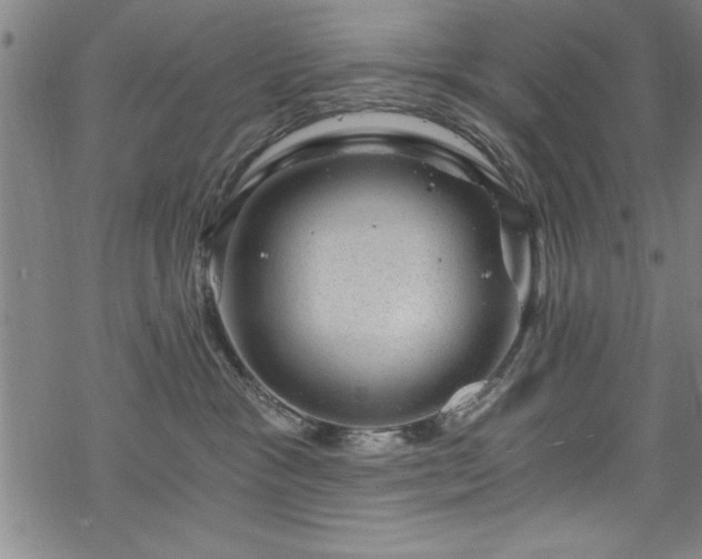 X0000068900333200605081352