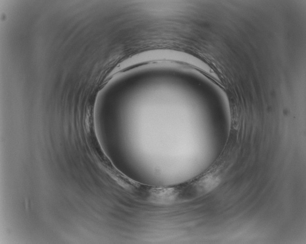 X0000068900334200605081352