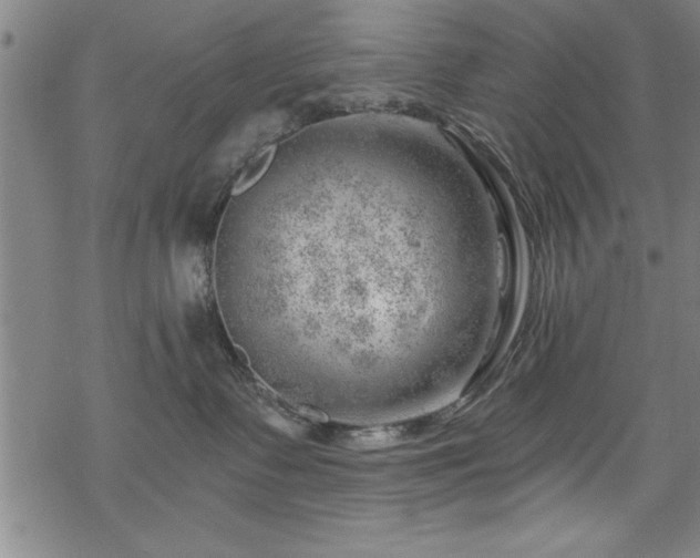 X0000068900335200605081352