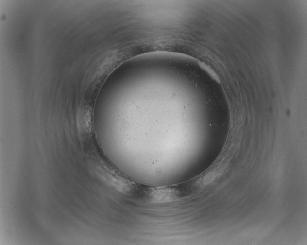 X0000068900336200605081352