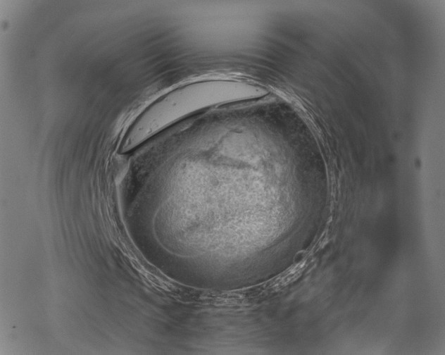 X0000068900337200605081351