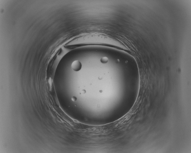 X0000068900338200605081351