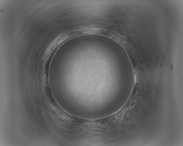 X0000068900339200605081351