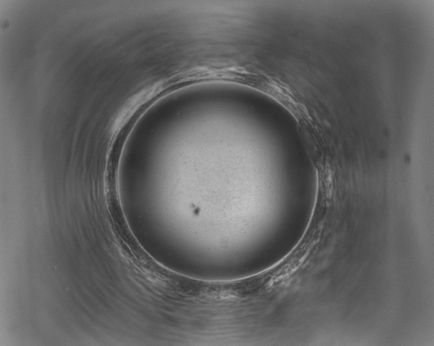 X0000068900340200605081351