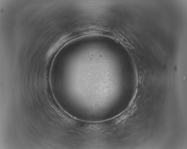 X0000068900341200605081351