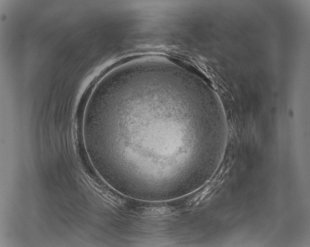 X0000068900342200605081351